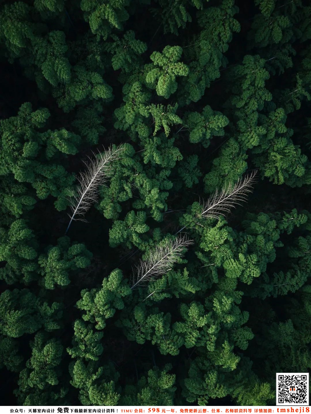 Home Interior Design Jakarta